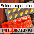 Silkworm Pills new01